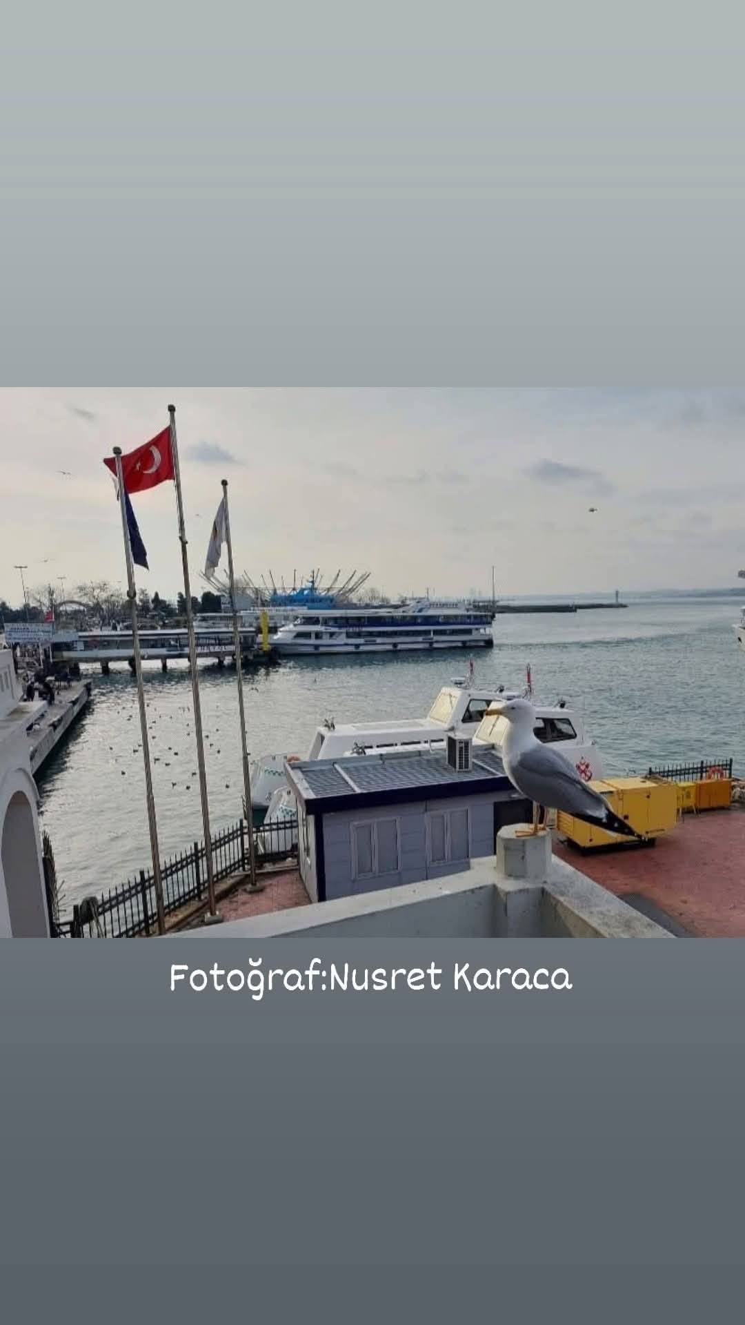 Fotoğraf