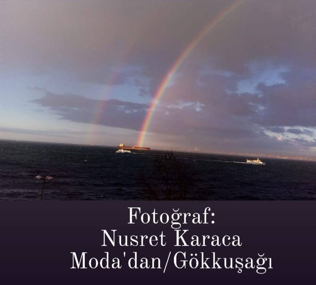 Fotoğraf