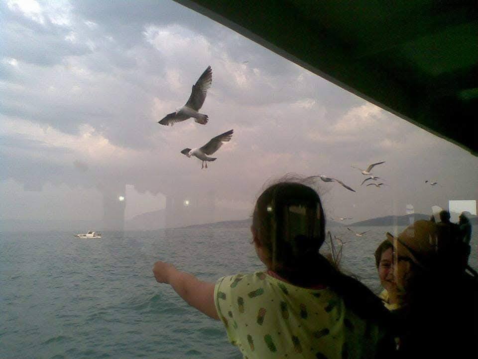 Fotoğraf