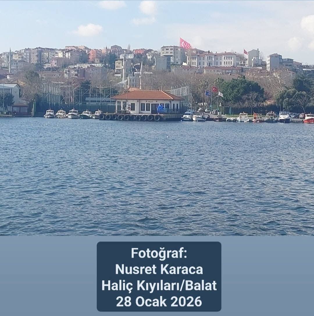 Fotoğraf