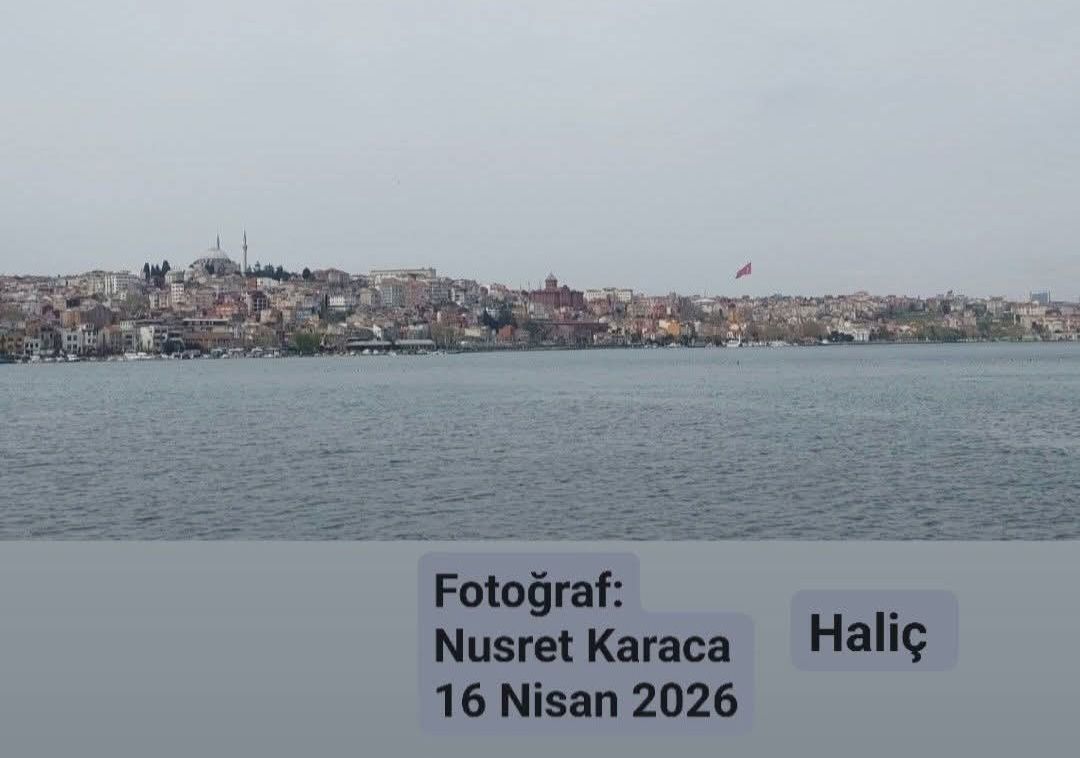 Fotoğraf