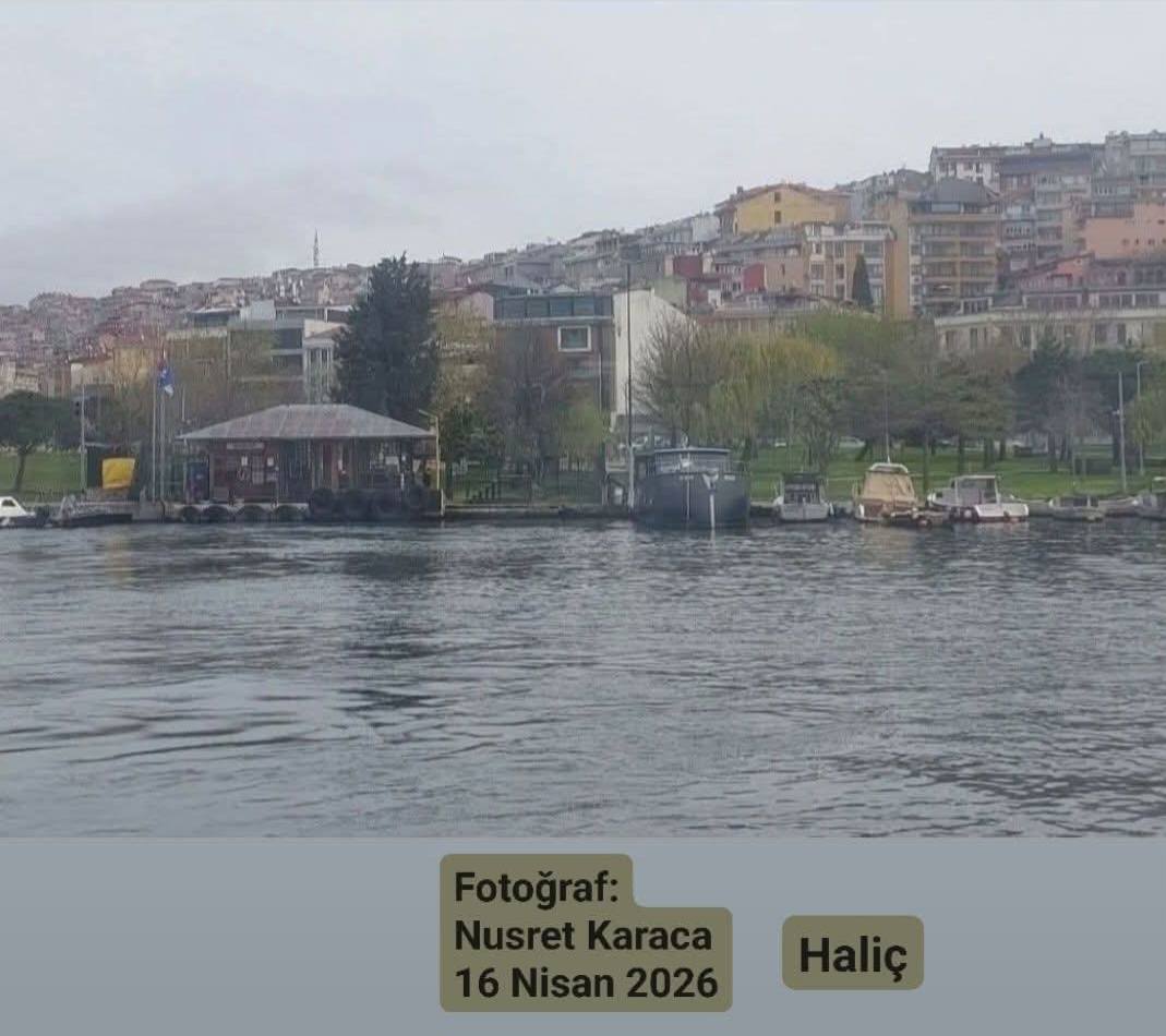 Fotoğraf