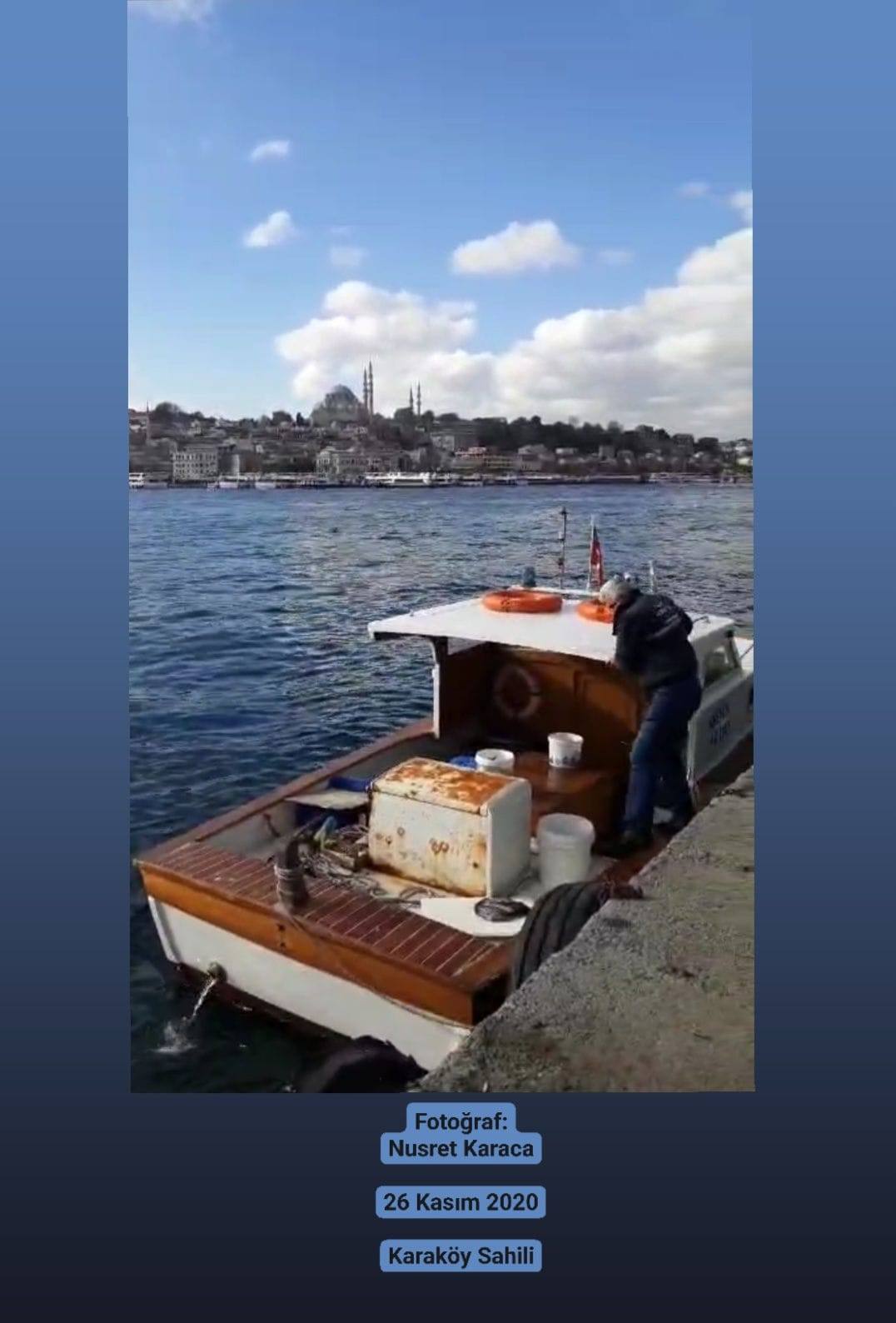 Fotoğraf