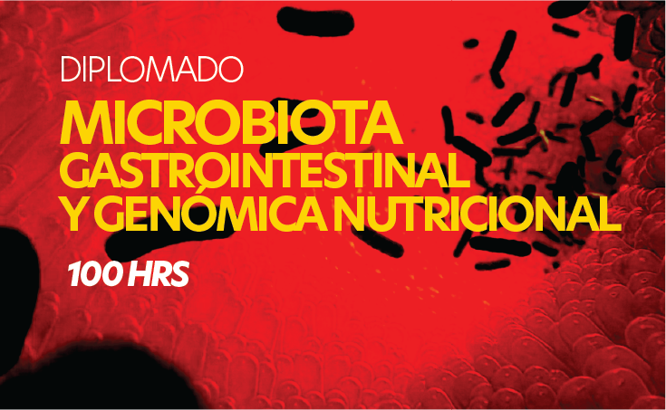 IV Microbiota Gastrointestinal y Genómica NutricionalThumbnail