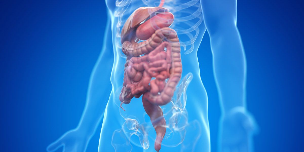 Abordaje Nutricional Integral en Patología Digestiva