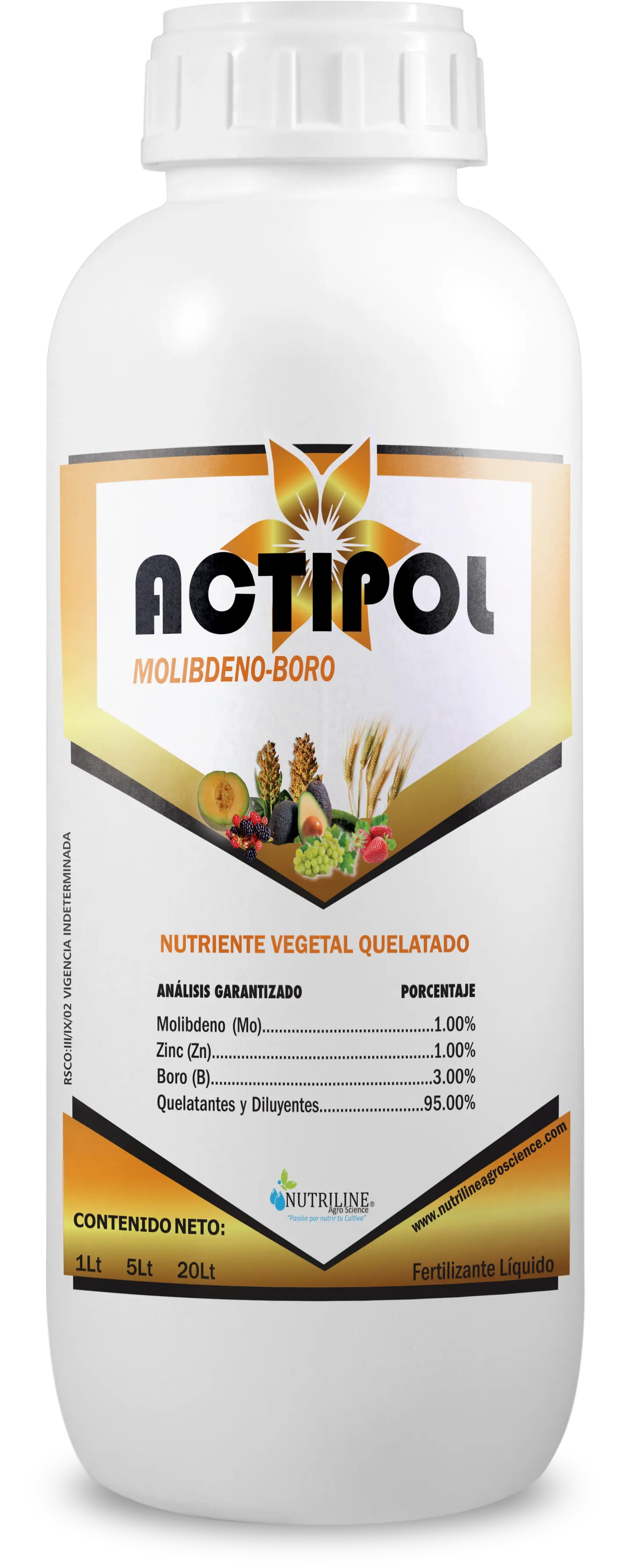 ACTIPOL BORO-MOLIBDENO