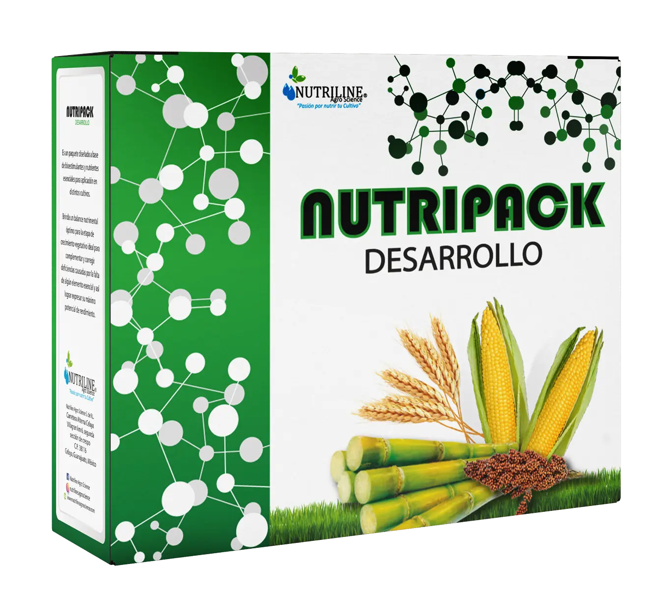 NUTRIPACK DESARROLLO