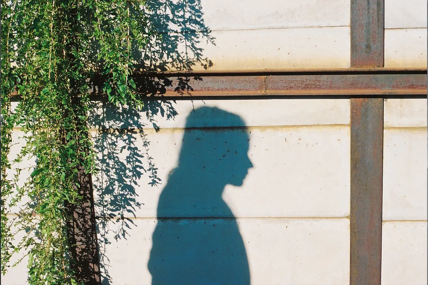 Ethereal Awakening of Spring