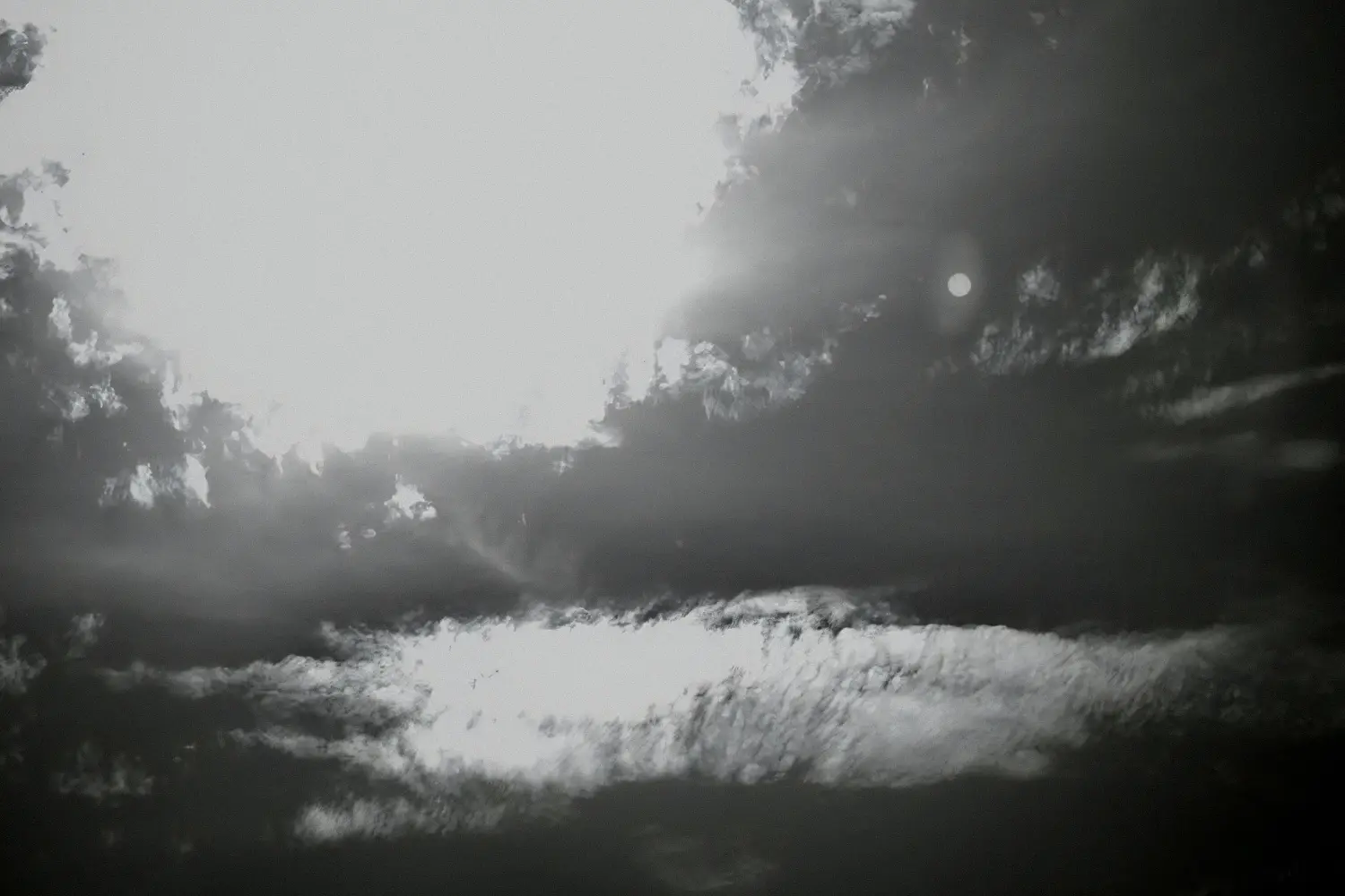 発酵(光)する響き