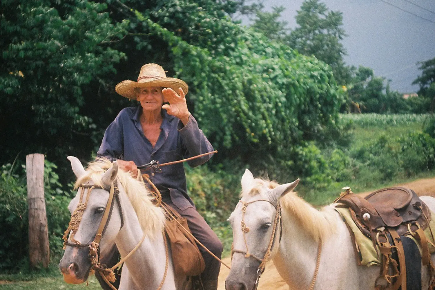 Resonance of the Unseen