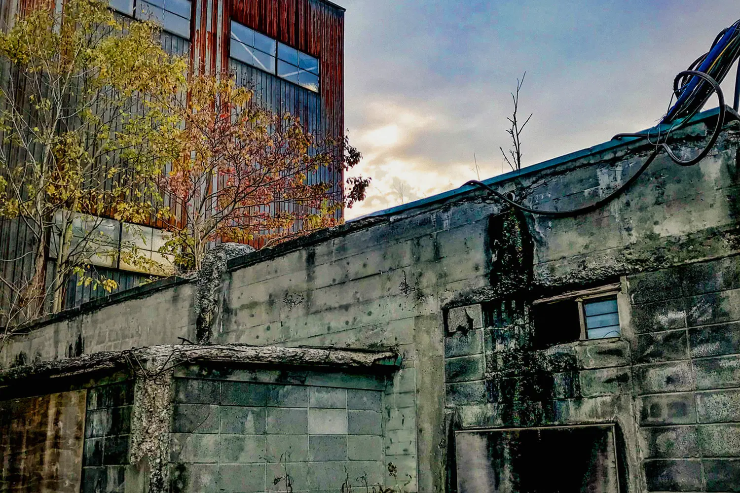 Subliminal Dubscapes