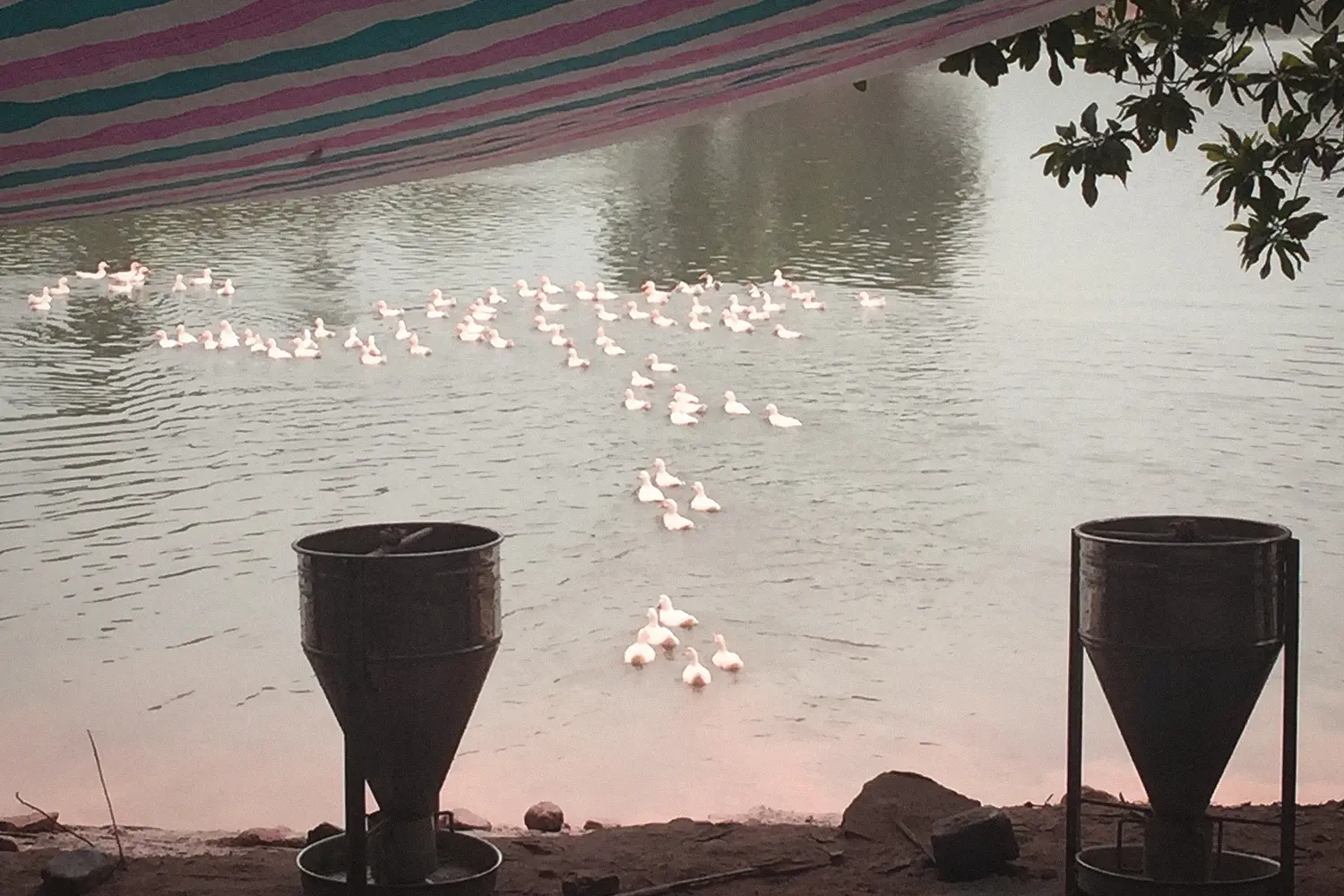 The ghost is somewhere