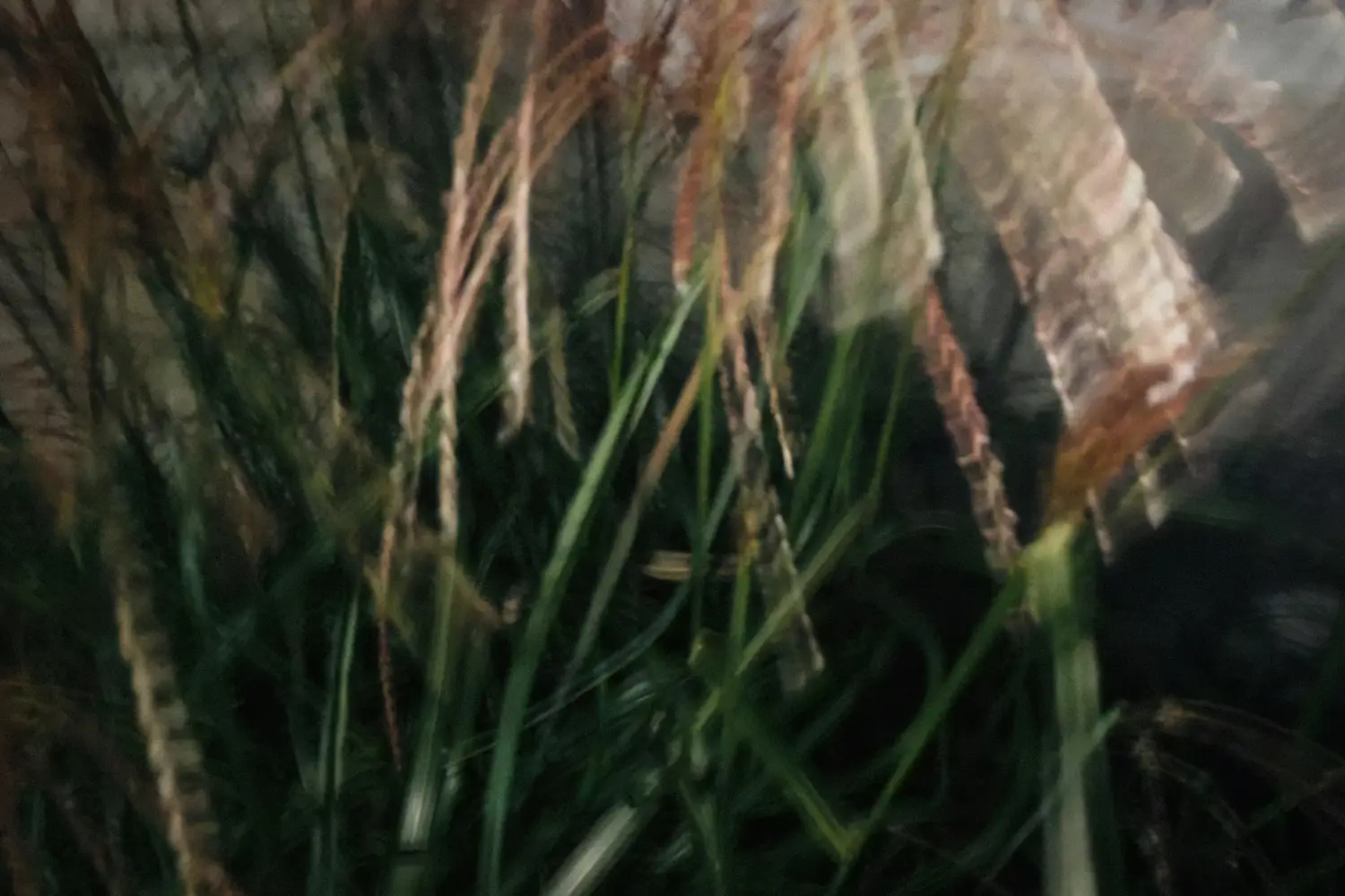 Vapor's Fade, Rising Whisper