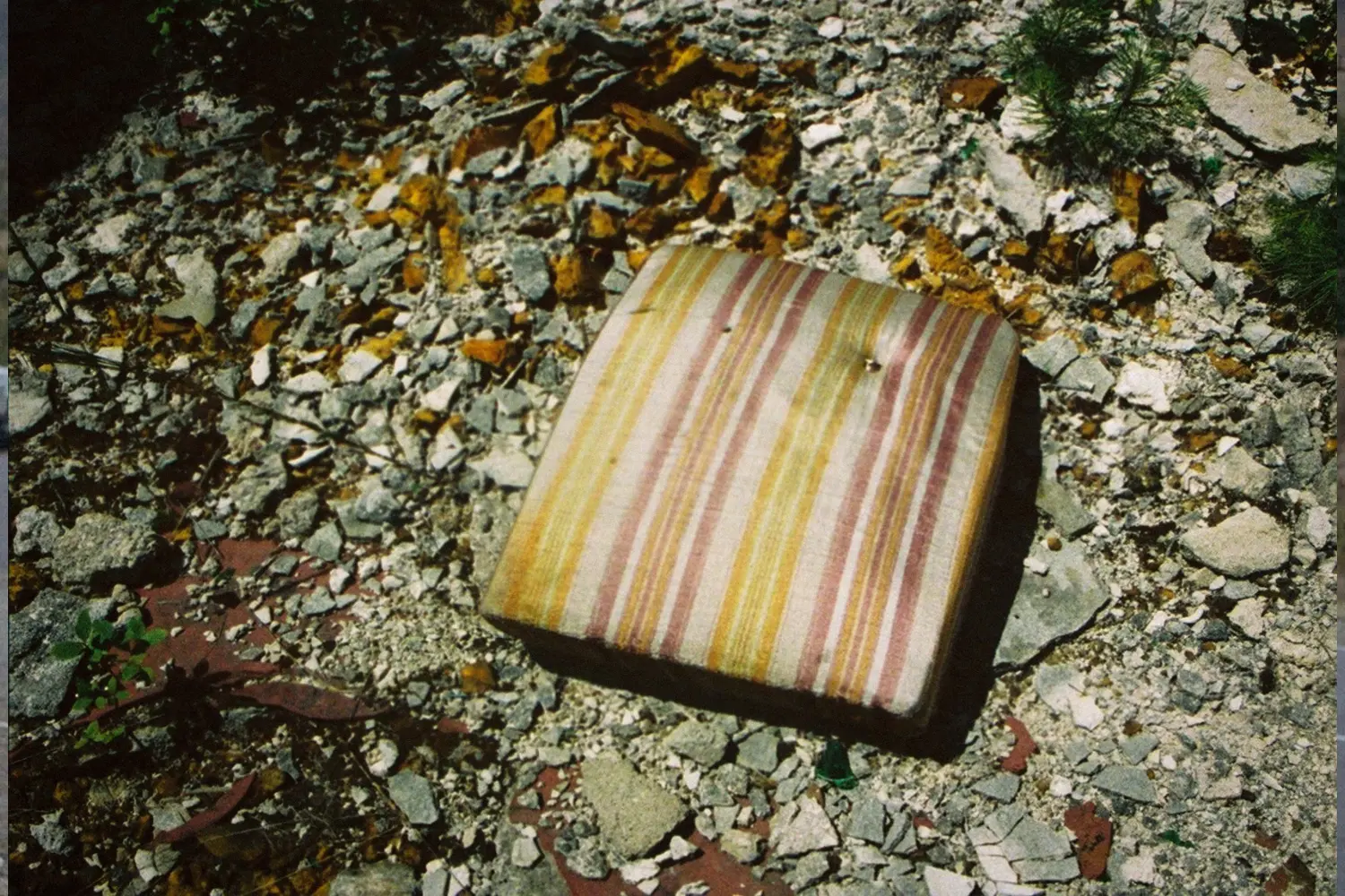 You Can't Cool Off in the Mill Pond, You Can Only Die