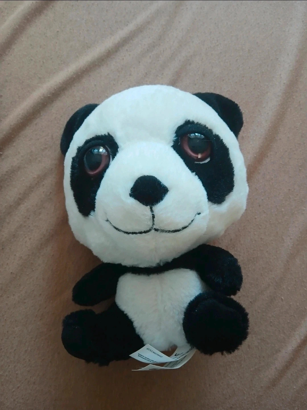 TCC új panda plüss 🐼 1