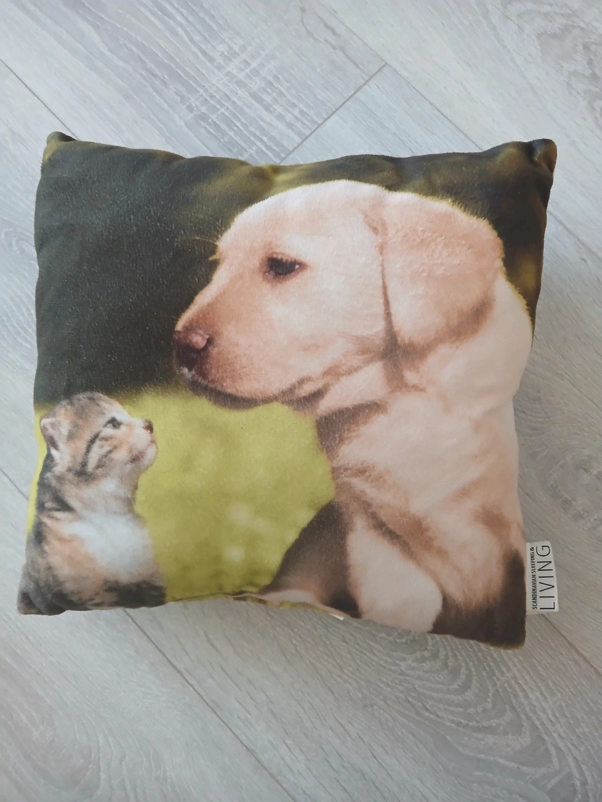 Jysk kutyusos cicás párna 1