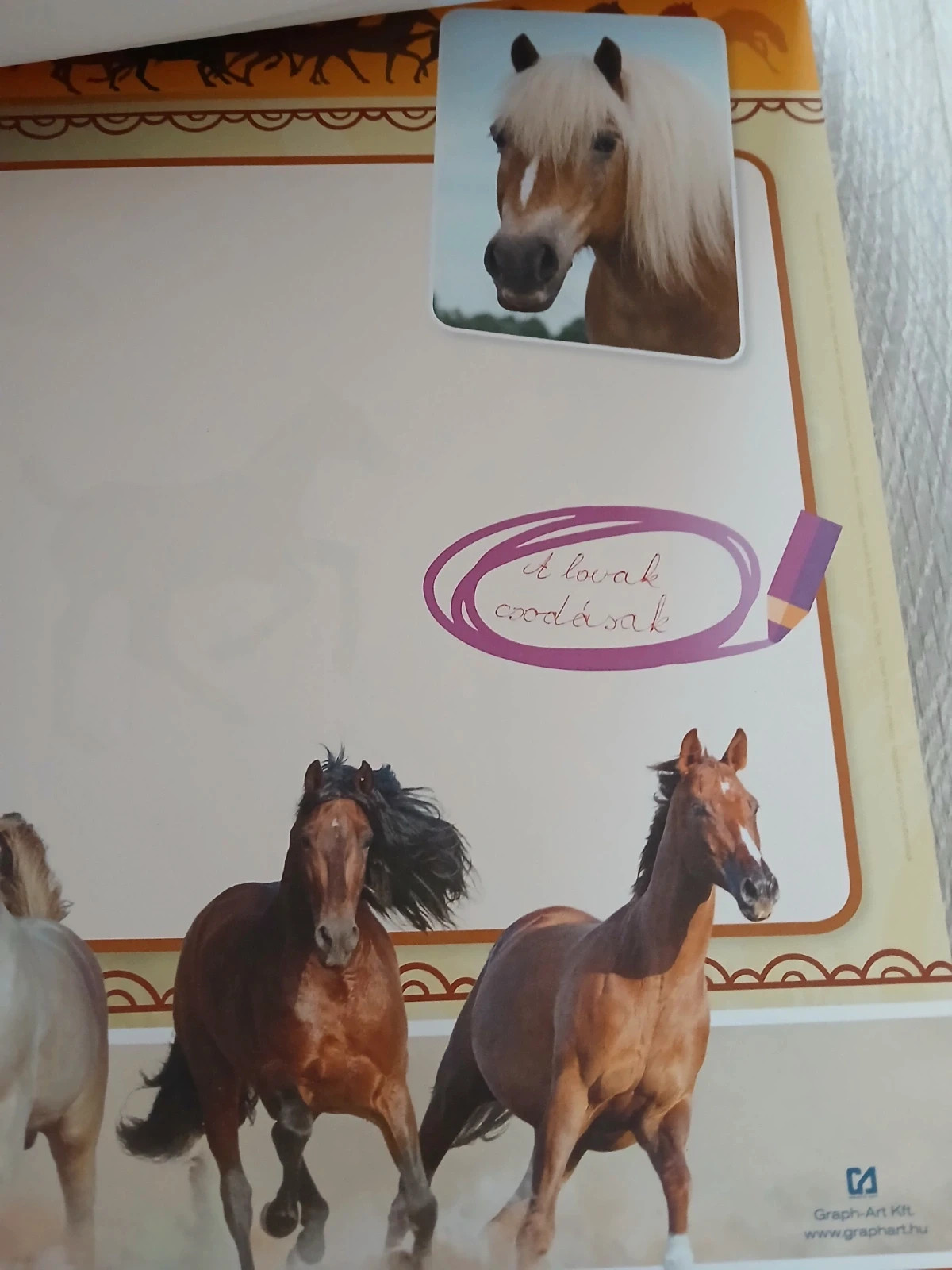 Lovas rajzolós alátét íróasztalra 2