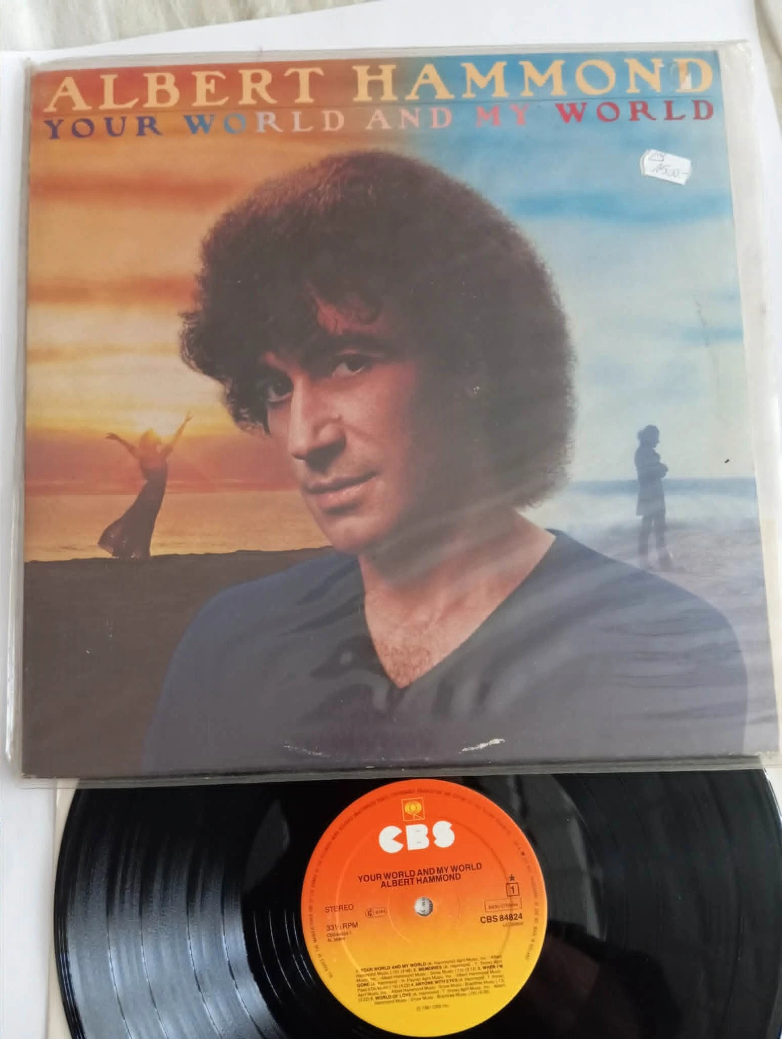 Albert Hammond - Your World And My World (LP, Album)(115p) 1