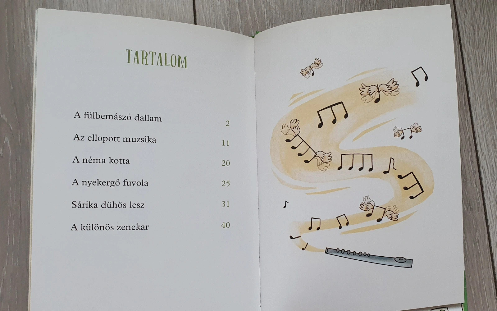Matricás Laci és a nagy zenebona 4