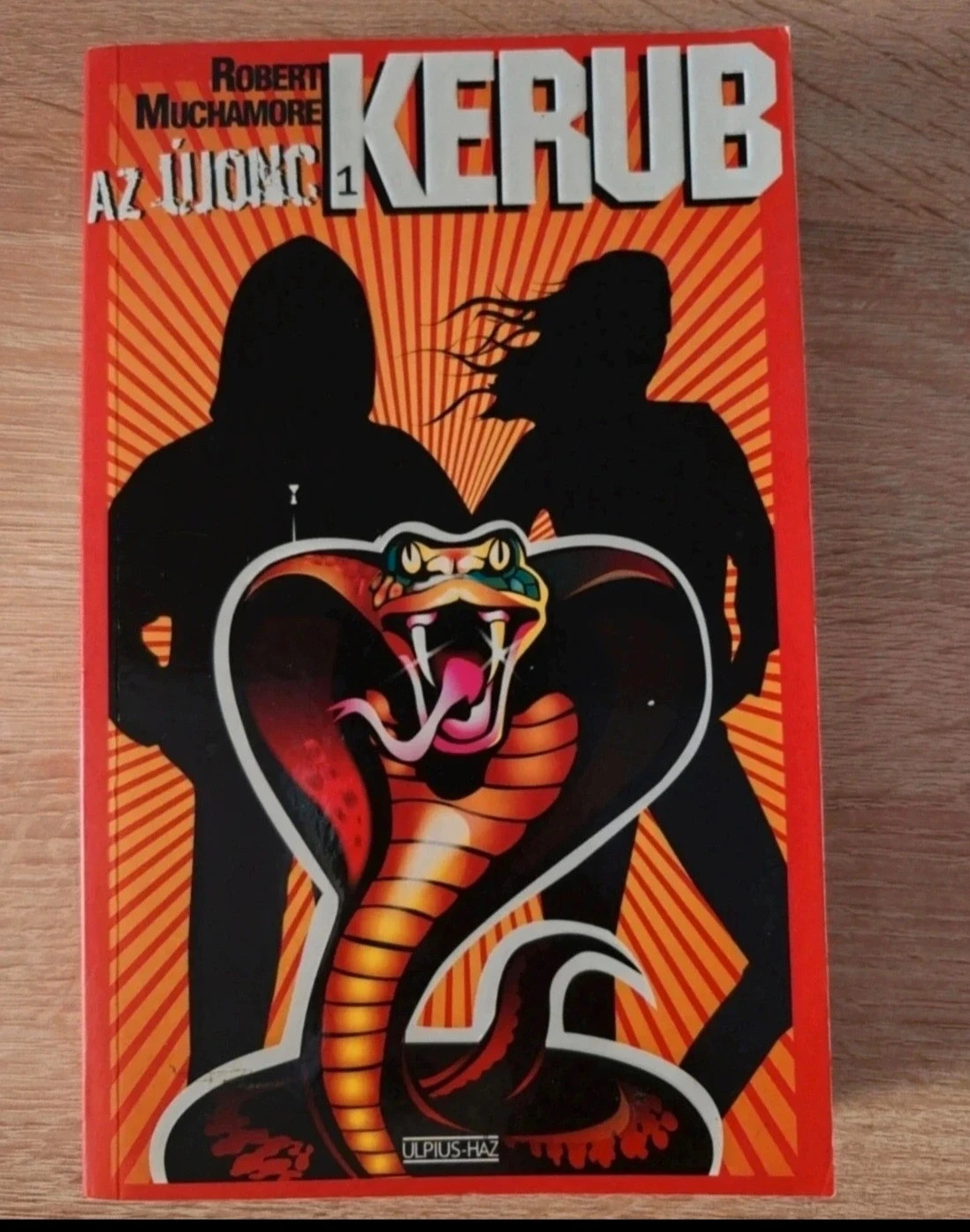 Robert Muchamore - Kerub, az újonc 1