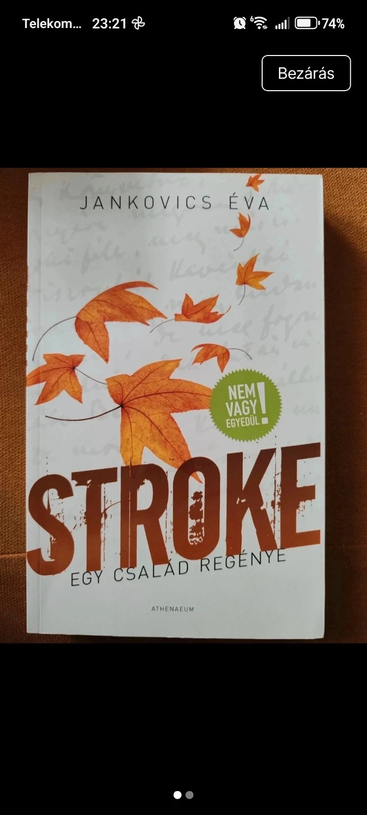 Jankovics Éva - Stroke 1