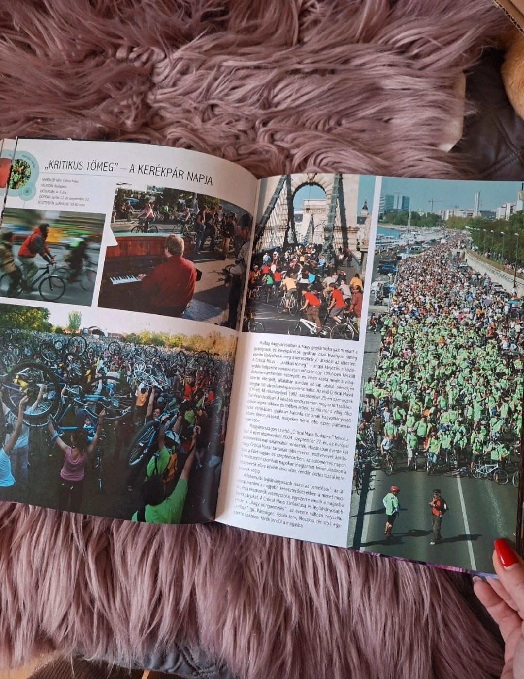 Lerner János: Fesztiválok 4