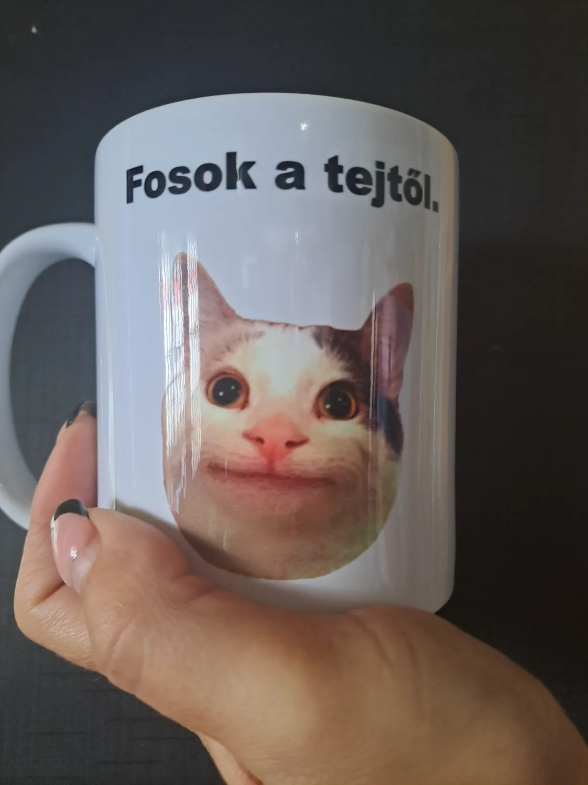 Cicás bögre 1