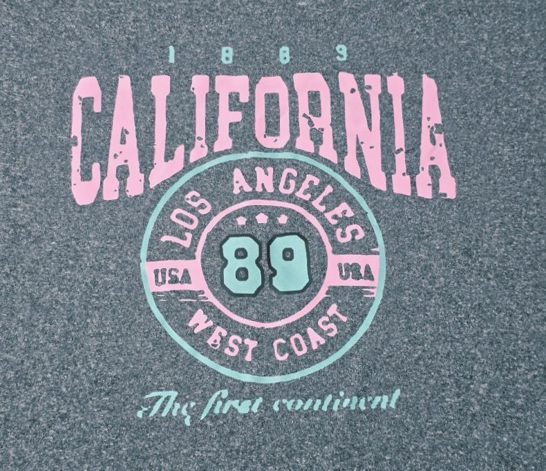 Camiseta T.XXL Gris California Los Angeles Estilo Y2K 4