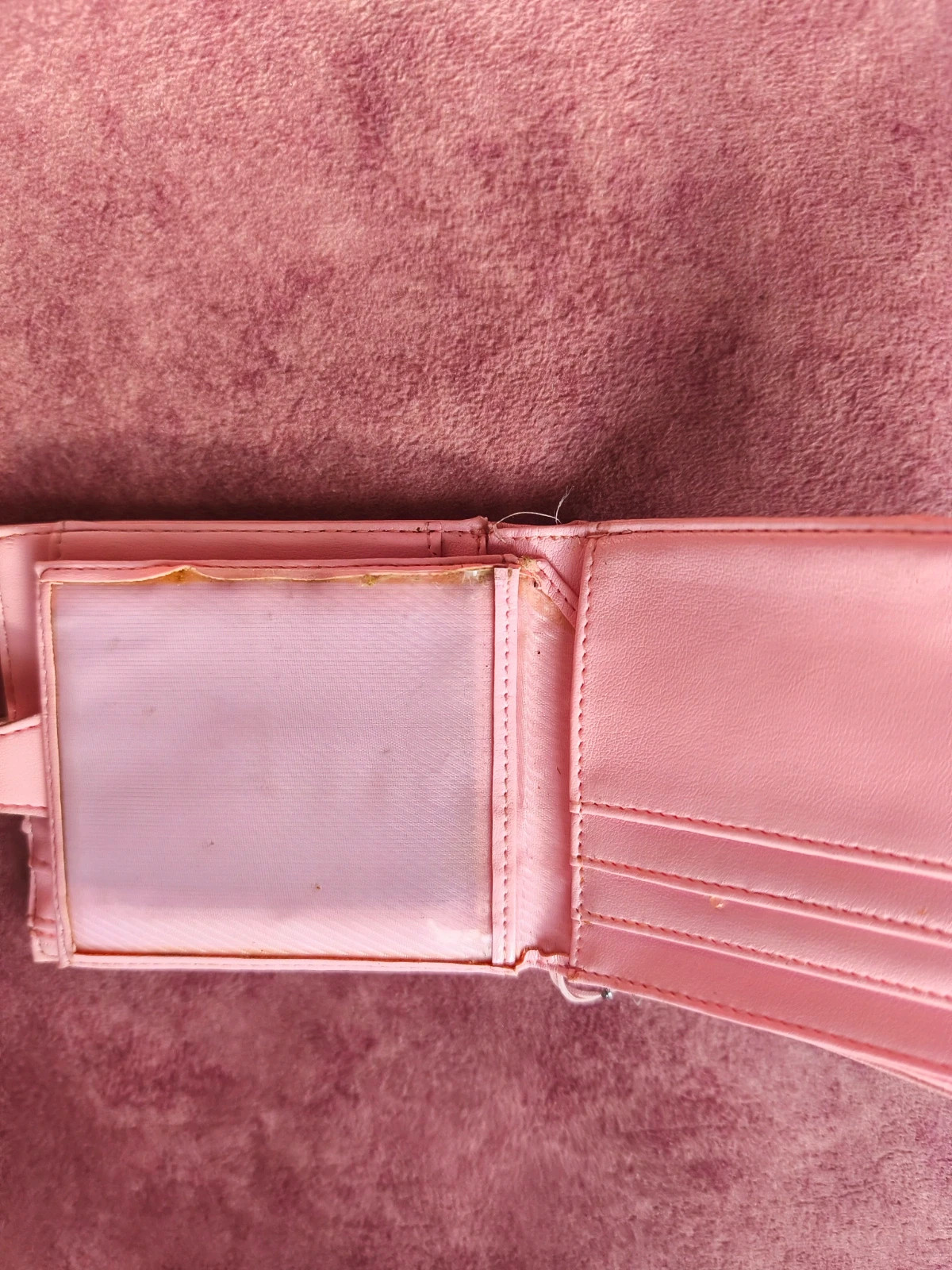Cartera 3