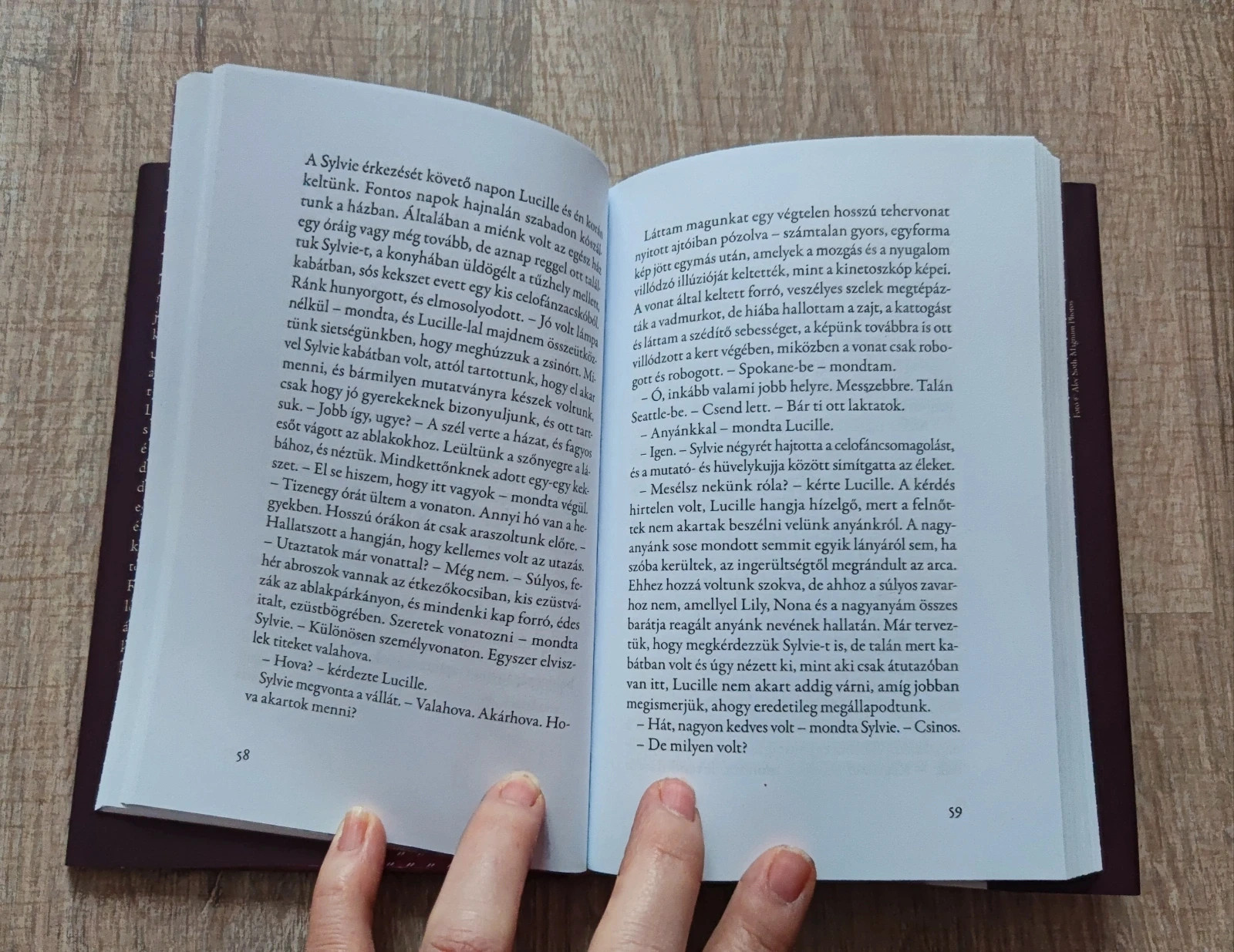 Ritkaság! Új! Marilynne Robinson - Háztartás 2