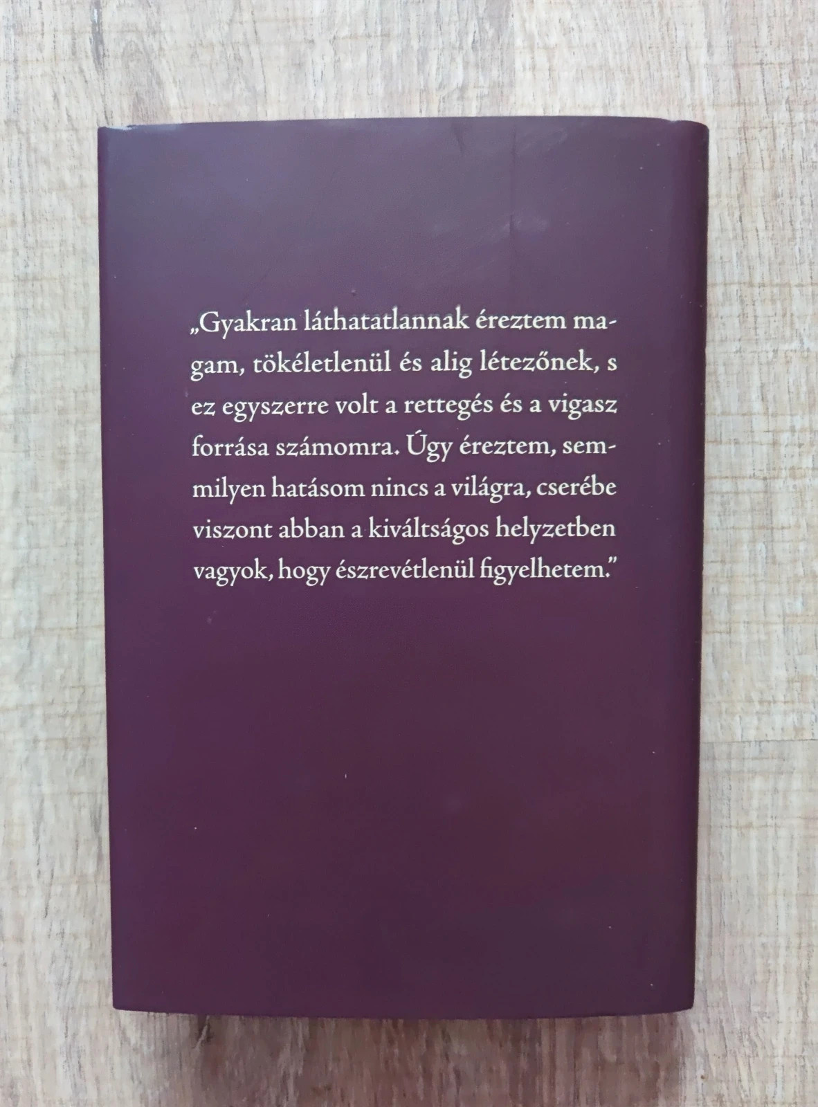 Ritkaság! Új! Marilynne Robinson - Háztartás 4