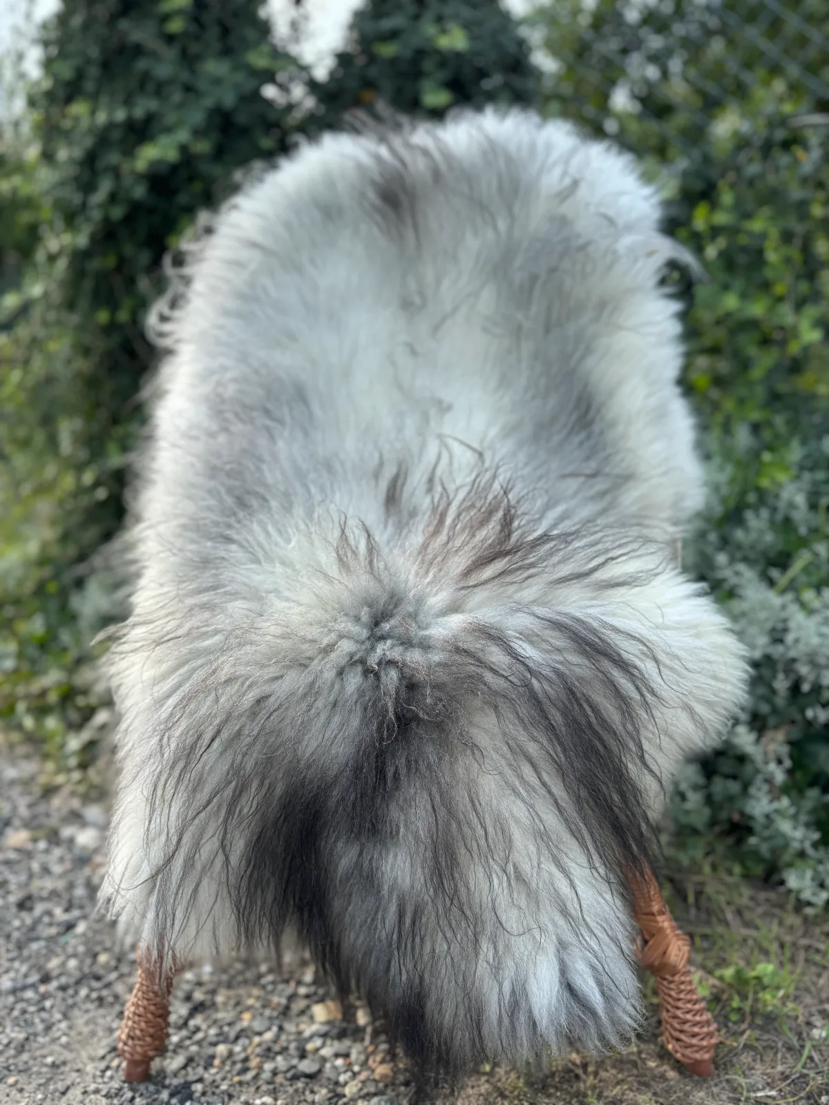 Melerade Sheepskins, High Quality 1