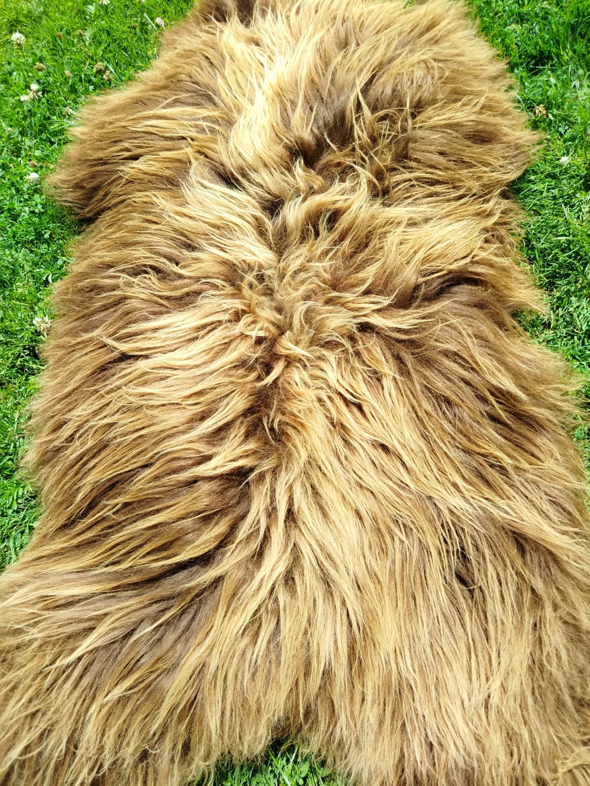 Heidschnucke Premium Sheepskins 4