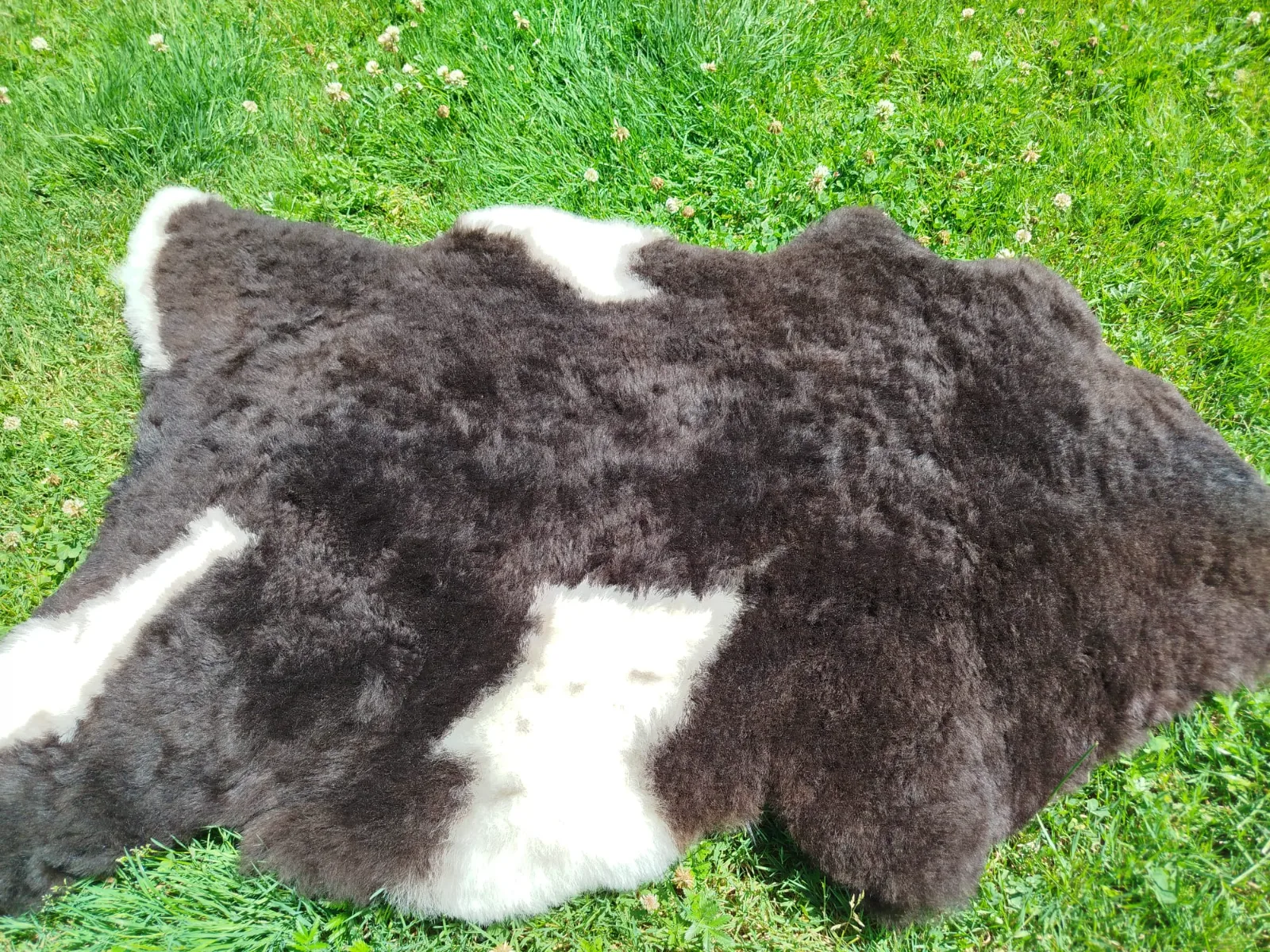 Premium Swedish Sheepskins 4