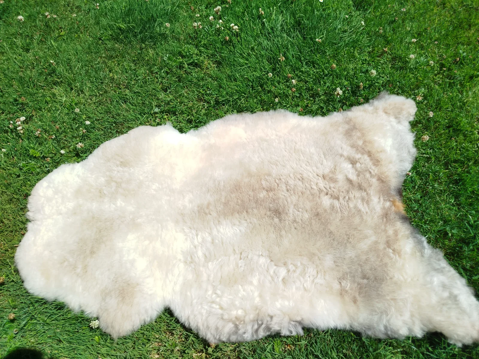 Premium Swedish Sheepskins 3