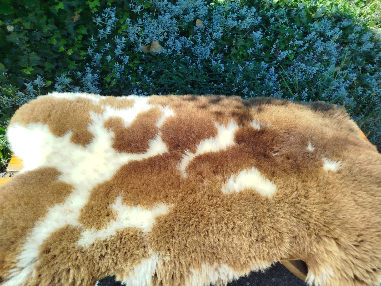 Premium Dutch Sheepskins 2