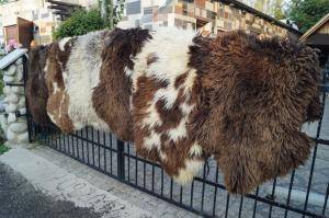 Premium Dutch Sheepskins 3