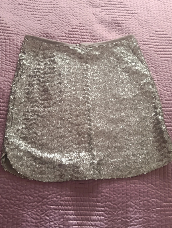 Minifalda lentejuelas plata 1