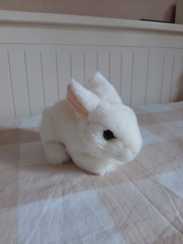 Peluche. pequeño conejito 1