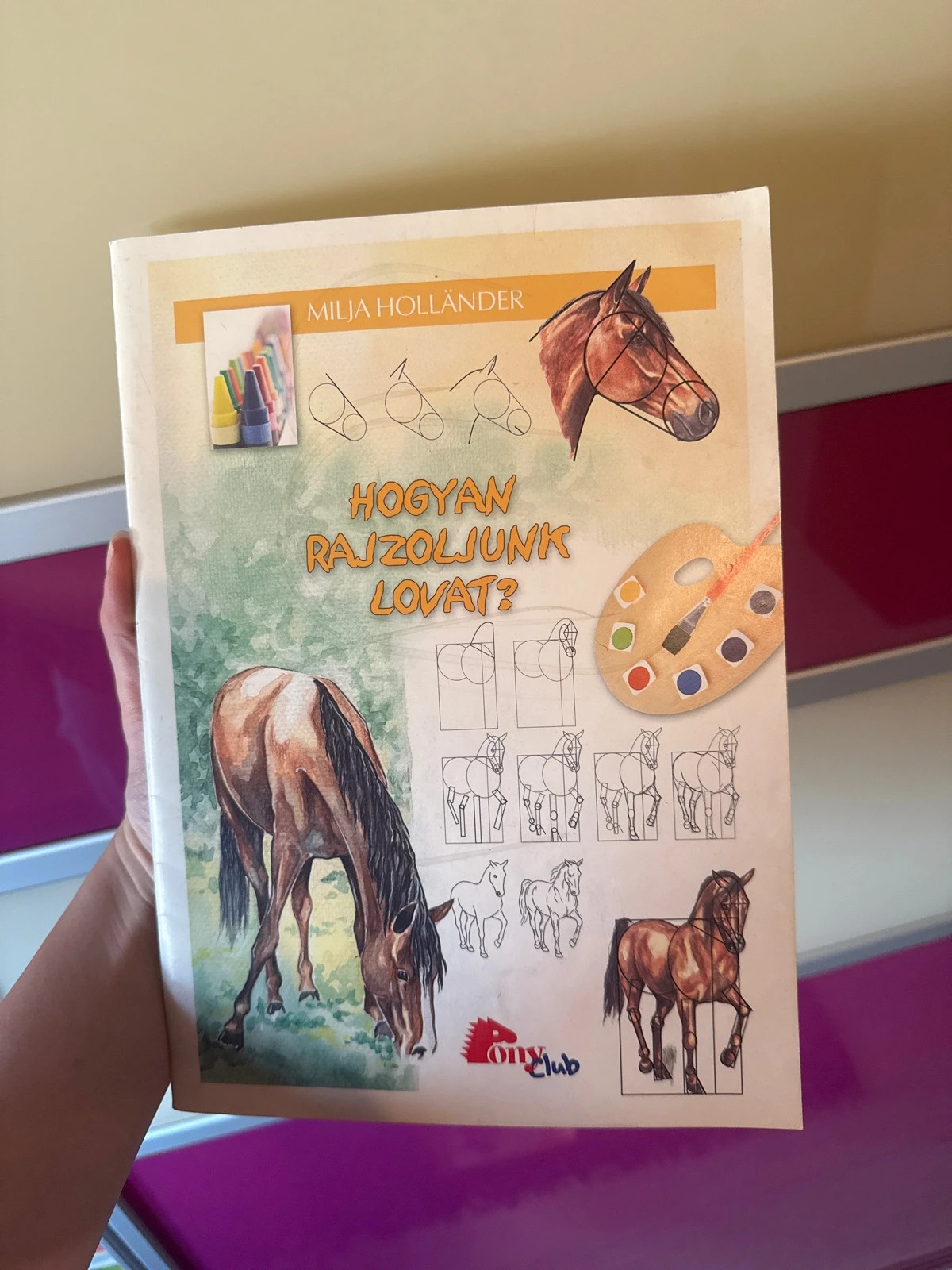 Hogyan rajzoljunk lovat? (Milja Holländer) 1