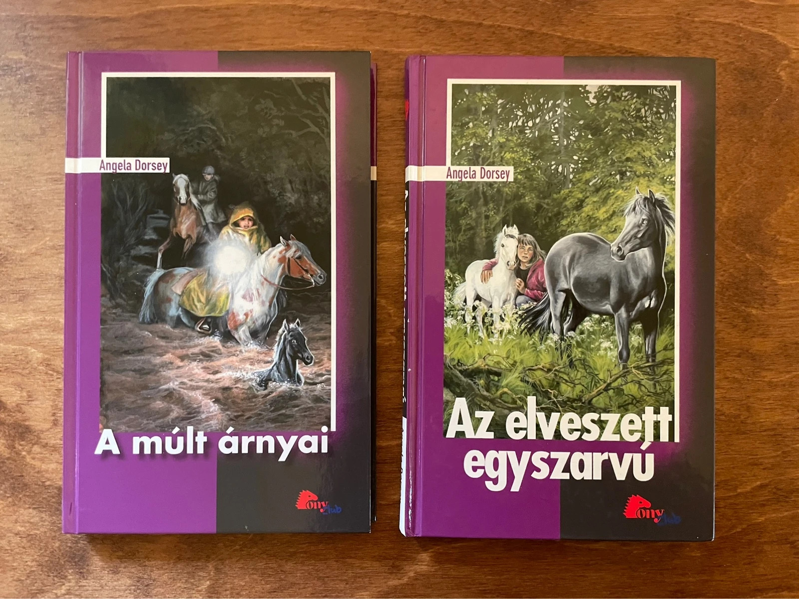 Pony Clubos könyvek 1