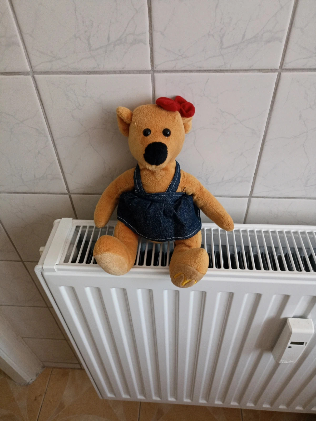 Maci lány 1