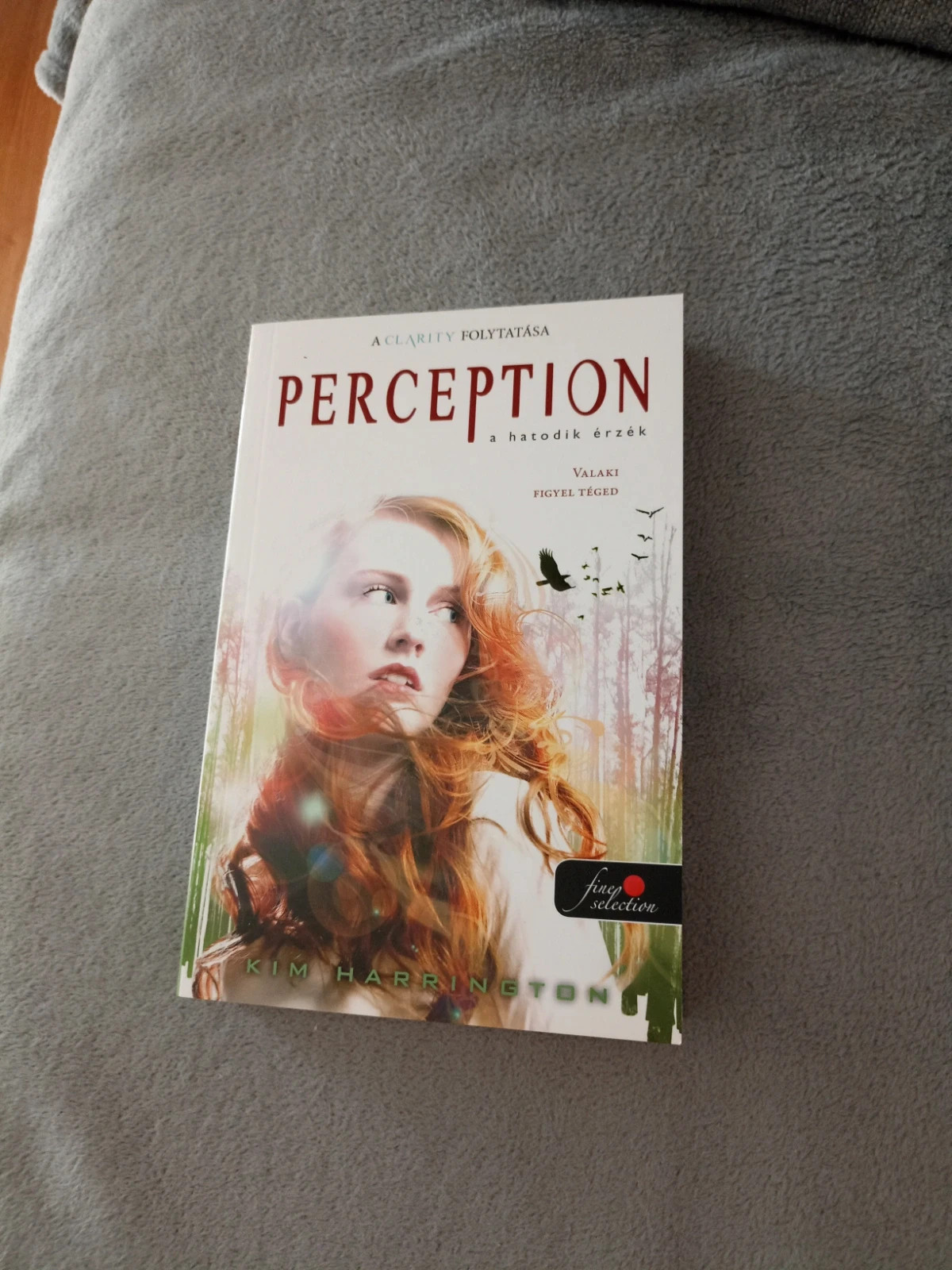 Perception 1
