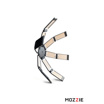 Hudson Spider Mozzie Basic Kit