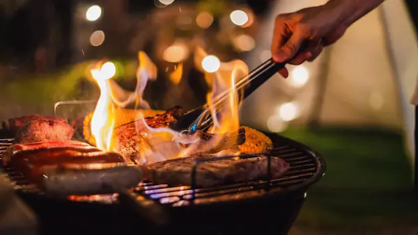 Best Foods to Cook on Different Firewood