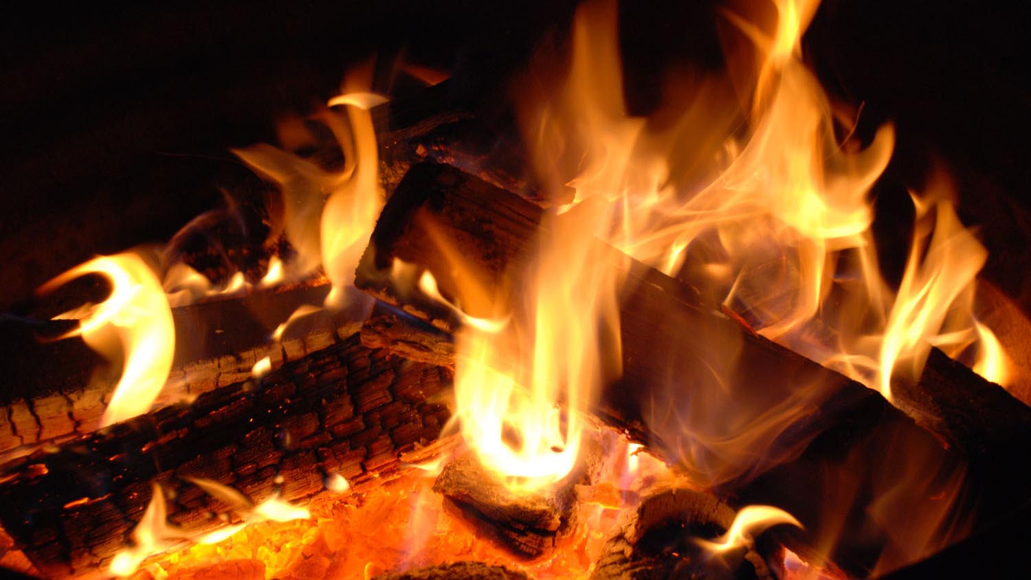 How to select the perfect firewood