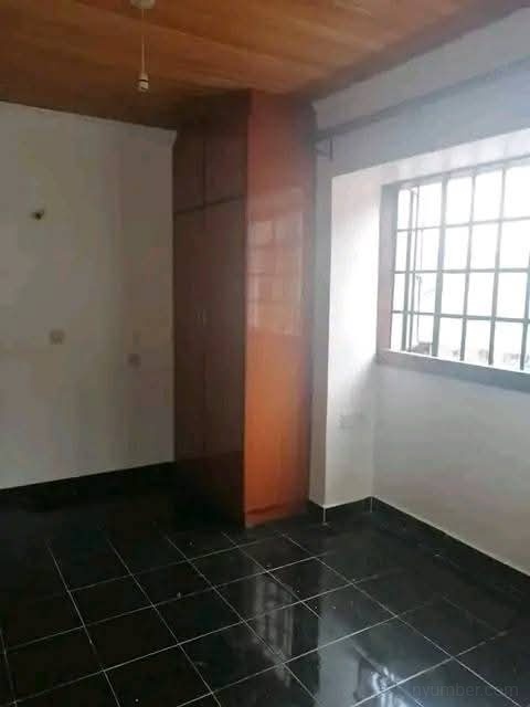 Spacious bedsitter in Pioneer  - Main Image