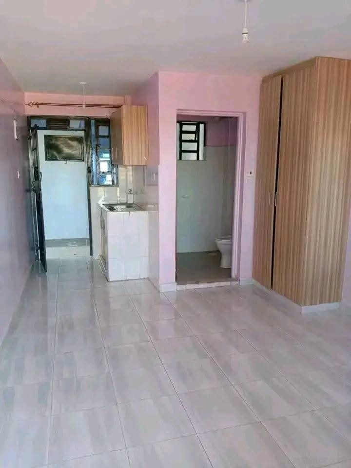 Elegant bedsitter in Kapsoya  - Image 2