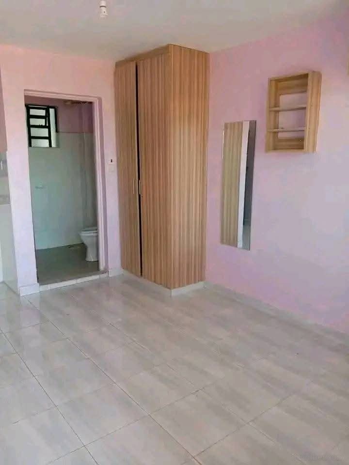 Elegant bedsitter in Kapsoya  - Main Image