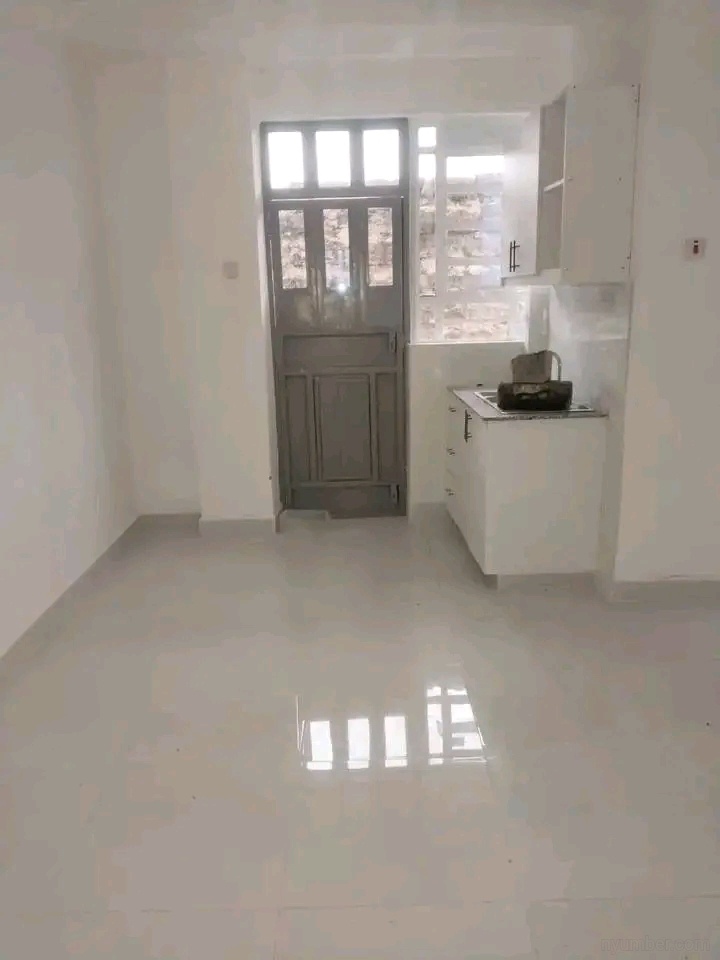 Spacious bedsitter  - Image 7